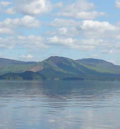 DSC00303